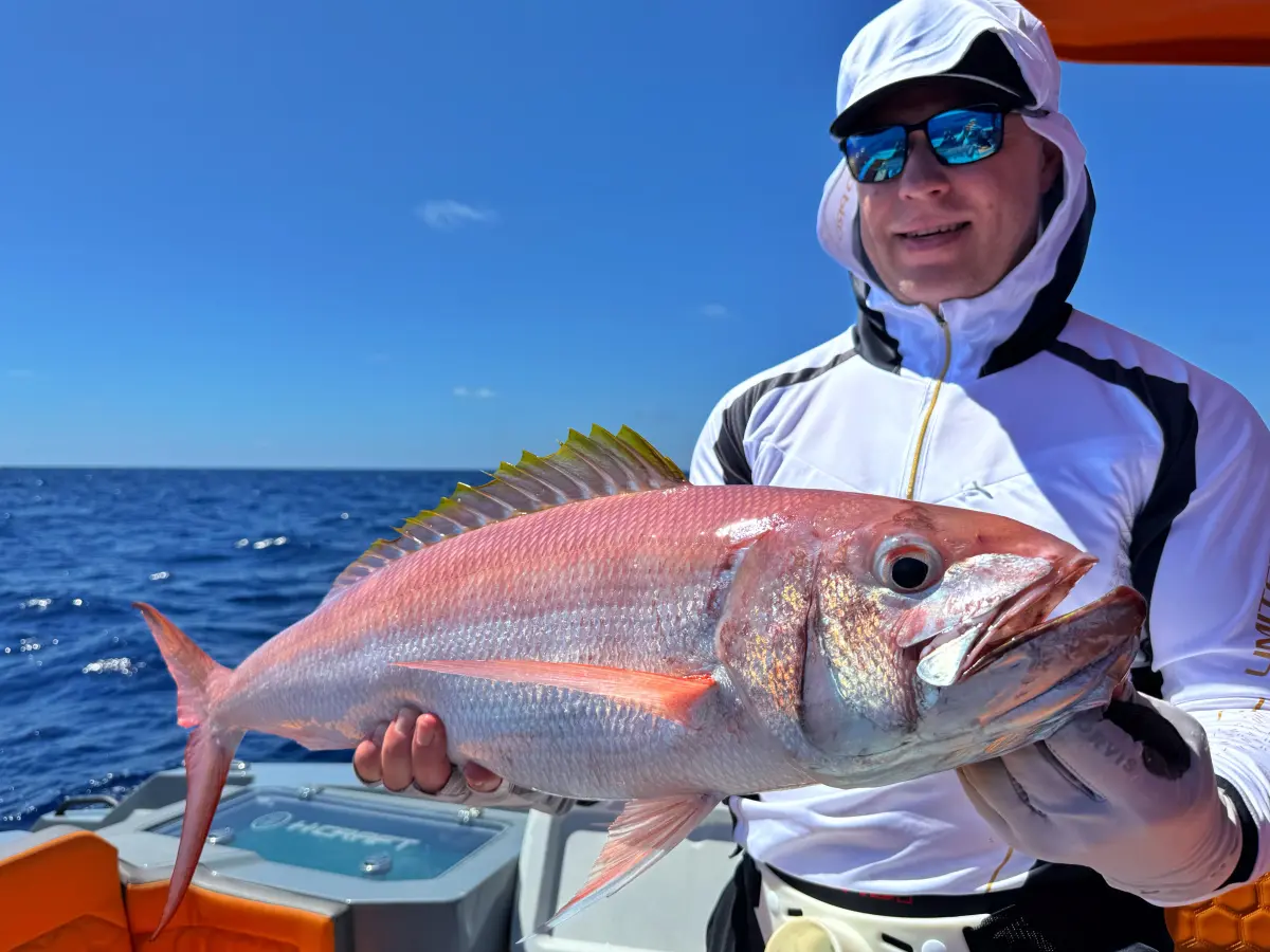 ТУР BIG GAME MAHE PLATO 4H