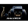 Катушка Daiwa 21 Saltiga IC 100